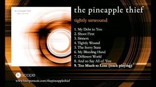 The Pineapple Thief - Too Much to Lose (from Tightly Unwound)
