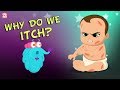 Why Do We Itch The Dr Binocs Show Best Learning Videos For Kids Peekaboo Kidz