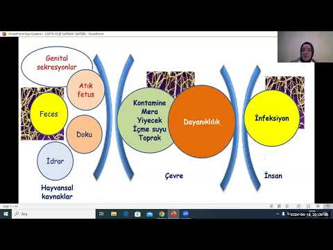 Leptospiroz Webinarı