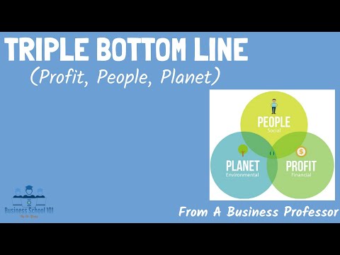 Triple Bottom Line (Profit, People, Planet) | From A Business Professor
