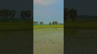 नवरात्रि Special: SONU NIGAM Devi Bhajan, Sawan Ki Rut Hai Aaja Maa with Lyrics,सावन की रुत हैआजा मा