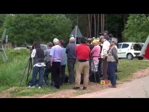 Dampflok Spektakel im Dahner Felsenland Germany 28.5.2014 Teil 9/15