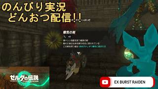 どんおつ配信「ゼルダの伝説 ティアーズオブザキングダム」16