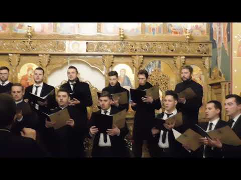 Am pornit cu colindat-u-Corala Psalmodia Transylvanica a Facultății de Teologie Ortodoxă din Cluj