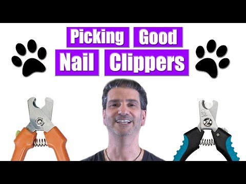 Picking The Right Pet Nail Clipper