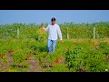 વાડી નો દેશી નાસ્તો નિકુંજ વસોયા Vadi No Desi 
