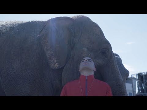 KING DELLA SCENA - Flavio Ghetto Eden - prod Manqc ( official video )