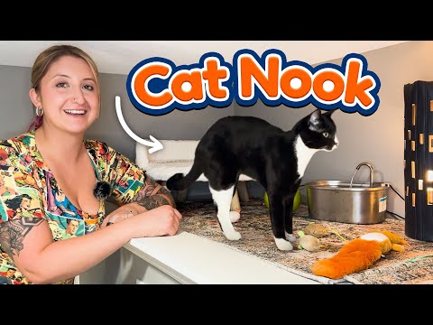 Creating A Cat Nook