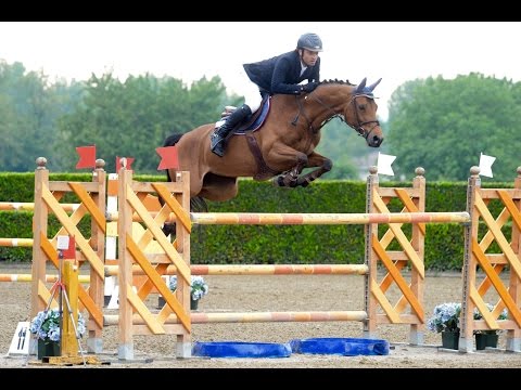 Uriella (Quite Easy / Quatar du Plape) CSI2* 130 Busto Arsizio 05/16 - 6ème
