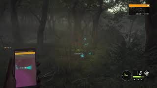 theHunterでちょっと自然界に殴り込み【無言配信】