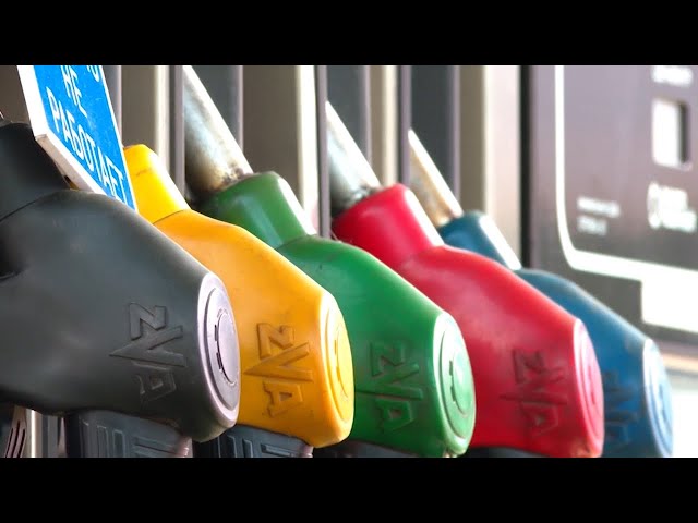 ФАС не нашла нарушений при определении цен на топливо