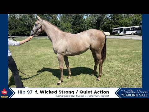 CTHS-ON2020, Hip 97, f. Wicked Strong / Quiet Action