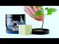 Great White Mycorrhizae - How to use