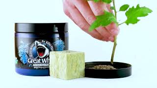 Plant Success Great White Premium Mycorrhizae 113,4 g