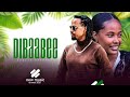 DIBAABEE NEW ETHIOPIA OROMO MUSIC 2026 CAALAA DAGGAFAA