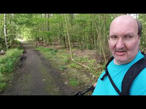 MongoTV_3530 - Danish Vlog - Del 1 - Skovtur i Frederiksdal LØRDAG 24.August 2019