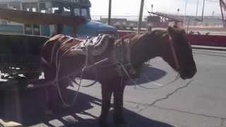 Rafael - A Journey of the Heart