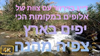 דיג זירזור אולטרה לייט בירדן עם צוות האלופים ליאור גכמן ודודו שמש