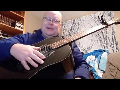 Zager Guitar Review of my ZAD20 Black