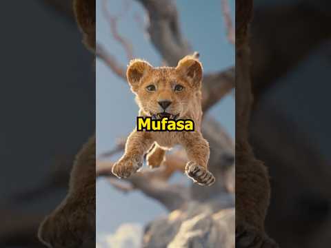 Saiu o trailer do filme do Mufasa! #mufasa #disney #liveaction #reileão #filmes