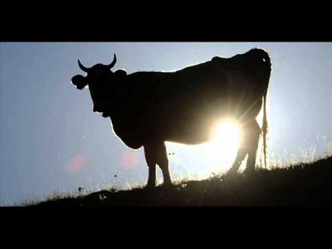 Cirle - No Milk Today - Herman's Hermits Hard Rock Cover