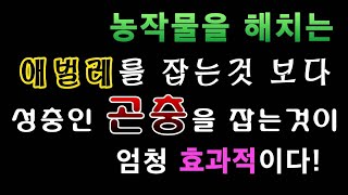 [텃밭농부.703]  애벌레 보다 성충인 곤충을 잡자! #포충기 #해충