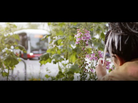 Electric Bus Systems: The Quiet Revolution in Public Transportation