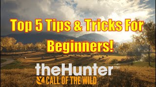 Top 5 Tips &amp; Tricks For Beginners In The Hunter Call Of The Wild!