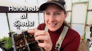 Starting 300+ Seedlings  in the Greenhouse | What I Always Grow + Why