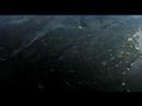 10.000 BC - Trailer deutsch / 10000 bc