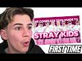 Stray Kids Are NOT What I Expected Stray Kids Guide Reaction