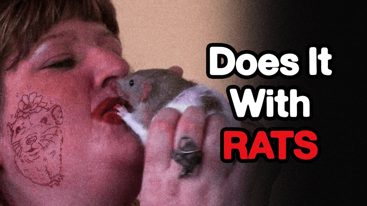 the Most Disturbing TLC Iceberg