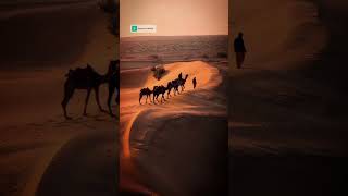 Download lagu Dil Hum Hum Kare | Rudaali | Bollywood Song | Old Hindi Songs mp3