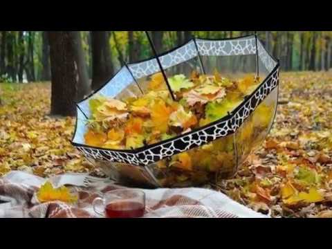 Яблонька песня Алёны Скок кавер Г Погорельская