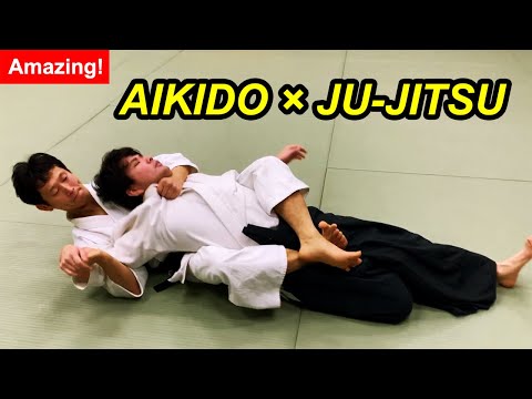 Amazing! Mix Aikido and Jiu-jitsu - Shirakawa Ryuji shihan