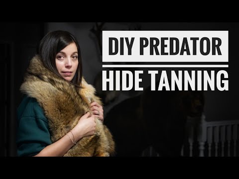 How to Tan a Coyote Hide at Home | Step-by-Step for Soft, Lasting Fur