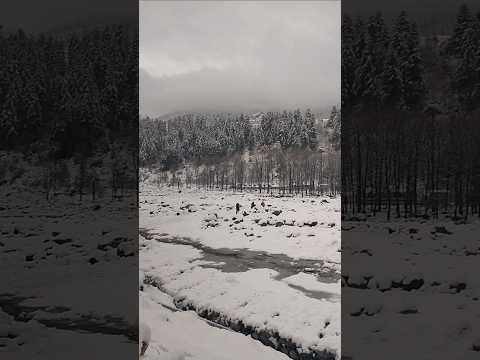 Manali in Winter's 🏔🤍 #manali  #winters #wonderland #snowfall #snow #himalayantrip #yezdi  #explore