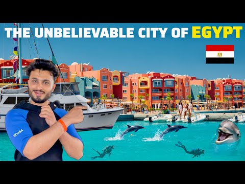 Scuba Diving with Dolphins in Red Sea, Egypt! 🇪🇬