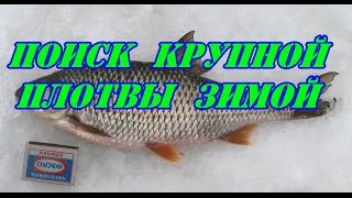Советы по ловле плотвы зимой