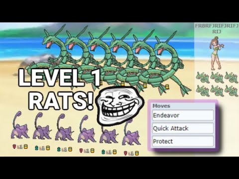 LEVEL 1 RATTATA TEAM vs Legendary Spammer