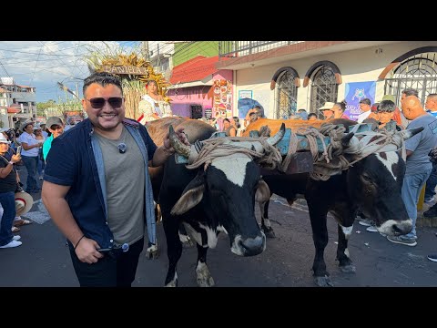 DESFILE DE CARRETAS TÍPICAS en COJUTEPEQUE | Lleno total 