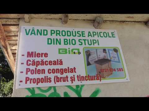 Produse apicole de calitate din biostupi - Productie 2016 - Iata cum pot ajunge si la voi acasa