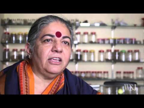 download lagu mp3 mp4 Where Can I Buy Genetically Modified Seeds, download lagu Where Can I Buy Genetically Modified Seeds gratis, unduh video klip Where Can I Buy Genetically Modified Seeds