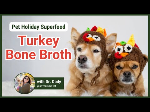 Turkey Bone Broth for Pets | A Thanksgiving Treat That Heals from the Inside Out