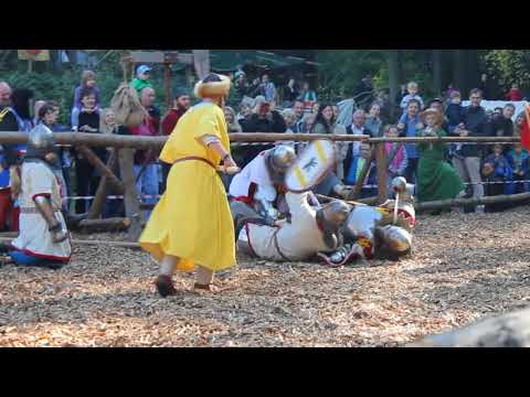 BUHURT .URSUS DESTRUCTIVUS BERLEPSCH