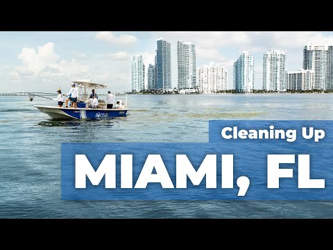 Making Waves: The 4ocean x Wave Browser Partnership in Action