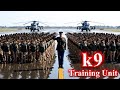 Elite Military Dog Training Secrets Train Like The Special Forces