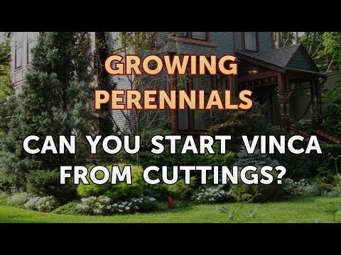 Can I Propagate a Peony From a Cutting