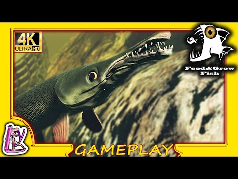 DANS LA PEAU DU POISSON ALLIGATOR !! FISH FEED & GROW 4K60 | Gameplay  FR