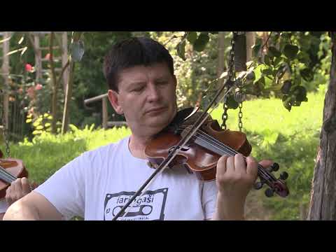 Rajko Suhodolčan i Faringaši - Čija je ono zvijezda